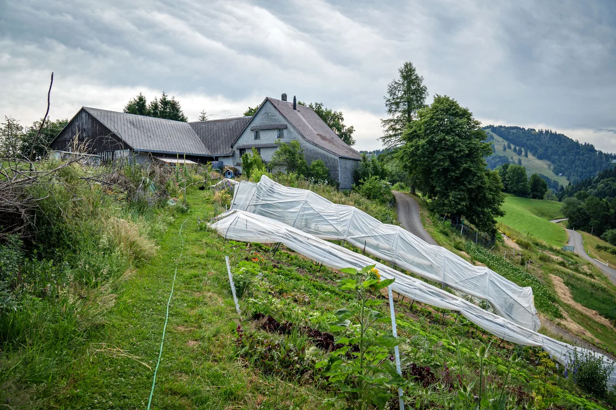 Drei Frauen bewirtschaften gemeinsam unter dem Projektnamen «summmit» den auf 1050 m ü. M. gelegenen Garten des Hofs Ragenbuech und verkaufen ihr Gemüse, wir stellen das Projekt vor.